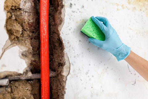 Leak Detection - 24 Hour Plumber